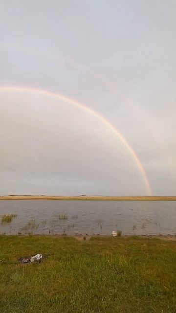 Рыбалка на карпа! 5:10   утра шикарная двойная радуга!#short