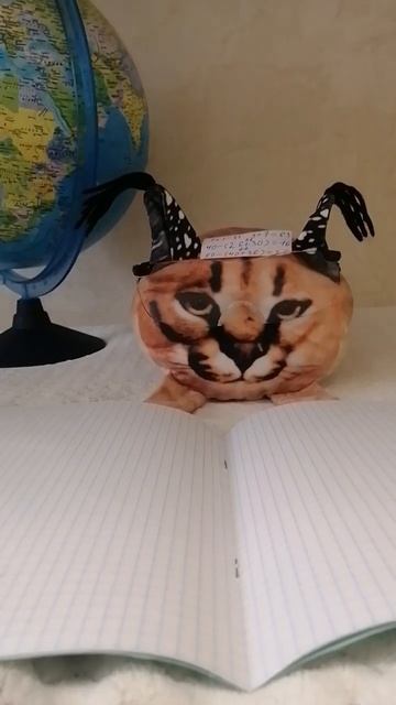 Если бы котики ходили в школу 🐱🏫 смотреть онлайн