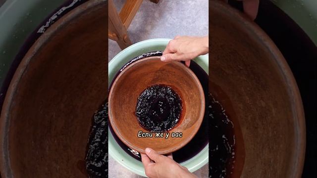 Пересадка Туласи - пошаговая инструкция. Часть 1. смотреть онлайн