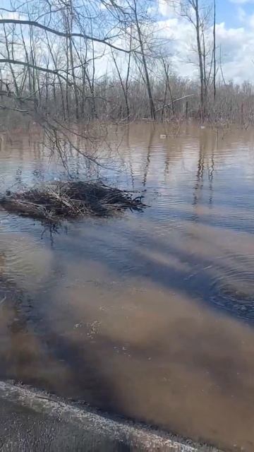 Парк отель Нежинка смотреть онлайн