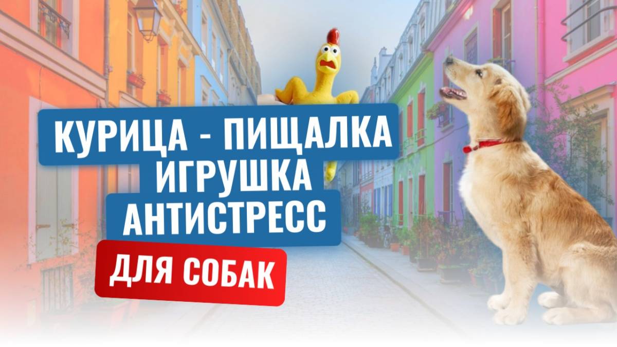 Курица - пищалка - игрушка антистресс для собак