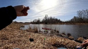 ТЕСТИРУЕМ КАТУШКУ CADENCE CS10 FEEDER #4500. Рыбалка на фидер на м