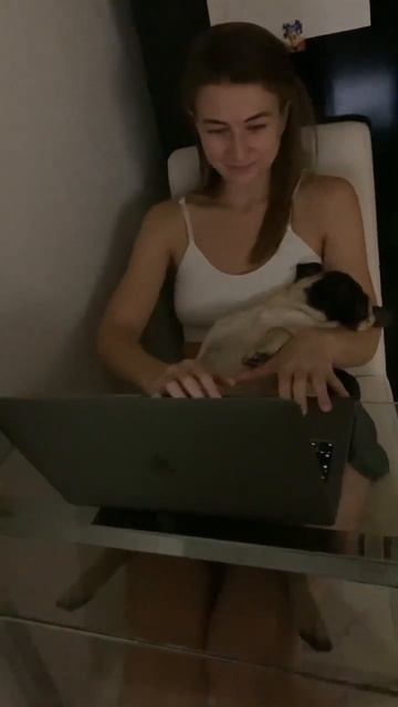 Зачем мне солнце, когда у меня есть такая собака ❤️ #pug смотреть онлайн