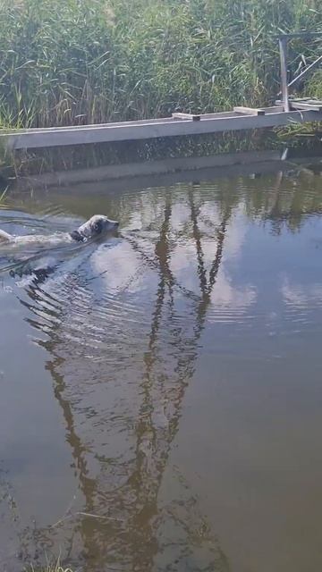 Бася покоряет Курганские озера