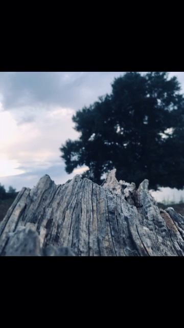 д.Харабали р.Ахтуба,лето рыбалка. смотреть онлайн