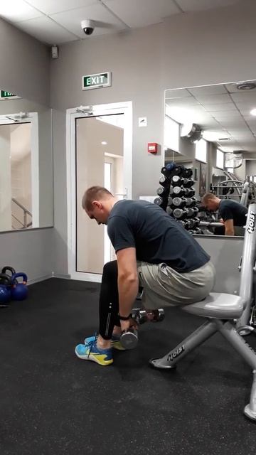 Обратные разводки сидя в наклоне смотреть онлайн