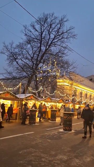 Манежная площадь города Санкт-Петербург 🎆 смотреть онлайн