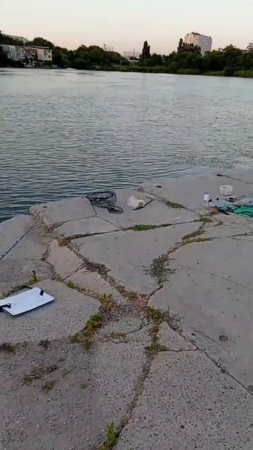 Вот это рыбалка!😐 #рыбалка #змея #рыба #черепаха #красн