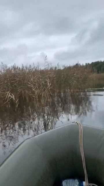 Губит людей не …😅 #рыбалка #Гарикугарик #лодка #озеро смотреть онлайн