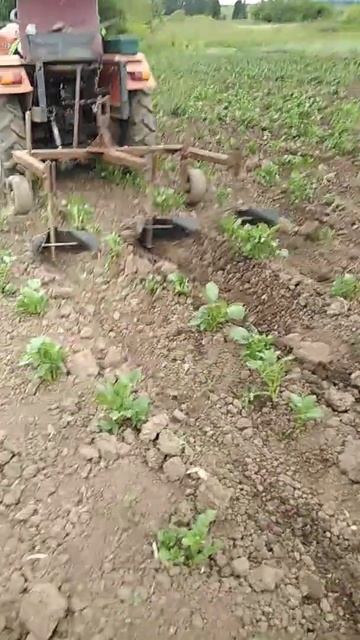 Окучиваем картошку уралец 180 смотреть онлайн