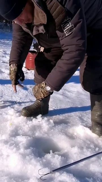 КРУПНАЯ ФОРЕЛЬ НА ЧЕРВЯ (СТРЕЙЧ) МИХАЛЫЧ В ТЕМЕ💪🎣 смотреть онлайн