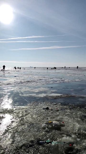 У кого клевала корюшка 23 февраля