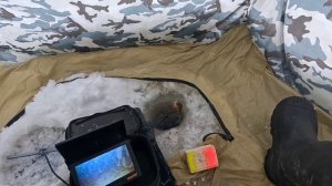 ЗИМНИЙ ДРОПШОТ  РАБОТАЕТ КОГДА ОКУНЬ ИГНОРИТ ВСЕ ПРИМ?