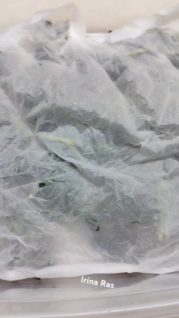 Заготовка иван -чая )))#иванчай #растения #лечебныетрав? смотреть онлайн