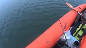 Рыбалка на Веселовском водохранилище. Первое знакомс?