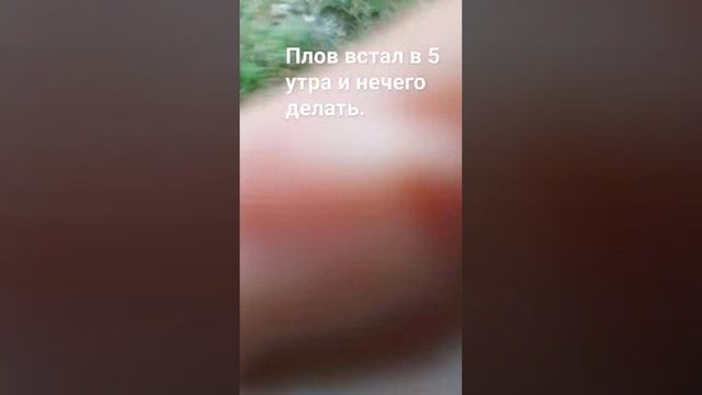 бедный чайник #мем #рекомендации #shorts 🤣🤣🤣. смотреть онлайн