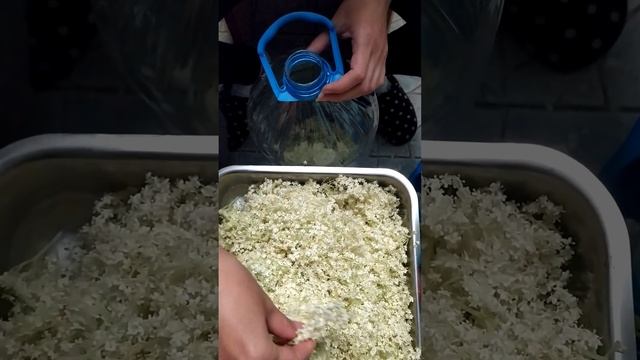 28.05.2024 Как да си направим сок от бял бъз. #сок #juice #saft как смотреть онлайн