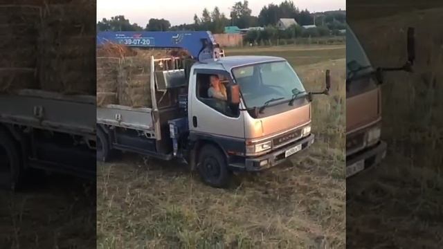 Как я запасаю сено для своих животных смотреть онлайн