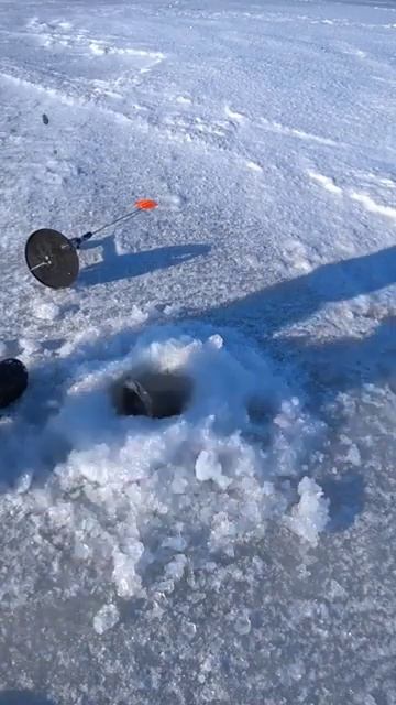 Катушки дымят, лески трещат #охота#рыбалка#отдых#shorts