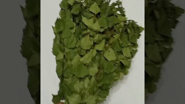 веник для бани березовый смотреть онлайн