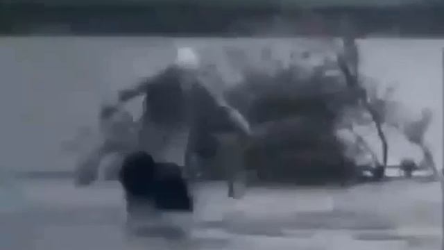 прикол бабка с пакетами смотреть онлайн