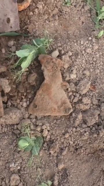 Три топора!!! 😱Чермет на копе. #коп #металлопоиск #xterra705 смотреть онлайн