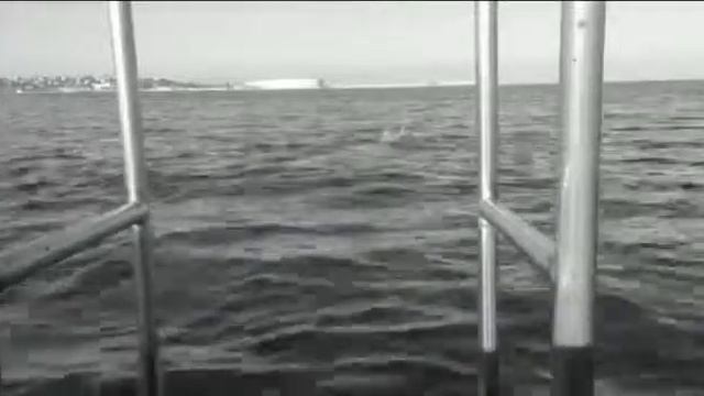 День Х. Мотивируй себя сам Каждое утро в 06:30 встречаемся пляж Хрустальный, Артбухта, Севастопол смотреть онлайн