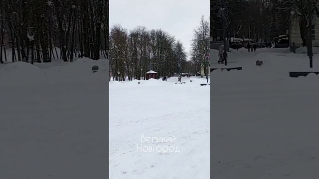 Великий Новгород 04.02.2023г.
