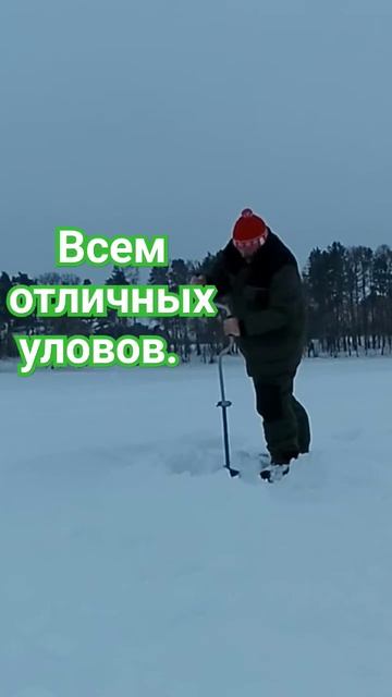 С днём зимней рыбалки #shorts