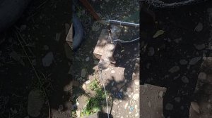 волокуша#драга#драчка#снасть для ловли рака#