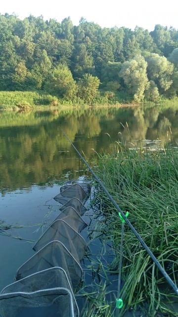 2 июля 2024 г. смотреть онлайн