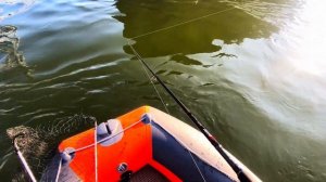 РАЗДАЧА СУДАКА НА ДРОП-ШОТ... КАК ЛОВИТЬ?