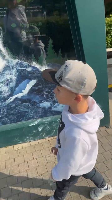 Зоопарк Москва #дети #прогулка #радость #детскиймир #зо смотреть онлайн