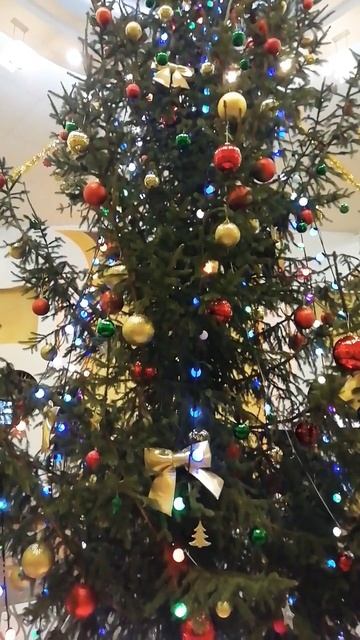 Минск 🇧🇾 живая ель в здании филармонии 🎄🎄🎄💖💖💖 смотреть онлайн