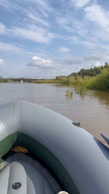 Лодочный электромотор Haswing protruar 1.0 12v смотреть онлайн