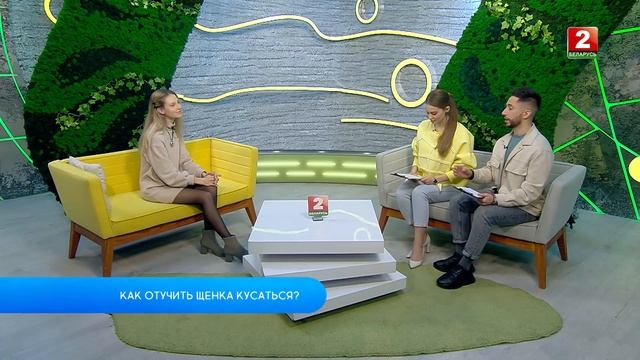 Как отучить щенка кусаться? Ульяна Валуйко - кинолог! смотреть онлайн