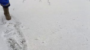 Камера Fish hero! Пробуем под водой