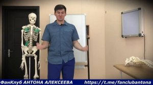Самые вредные упражнения для позвоночника в тренажер?
