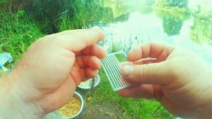 Линь на флэт - фидер.   #fishing