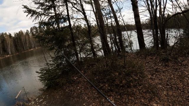 Ловля с боковым кивком Летняя мормышка Sabaneev Leader Pro