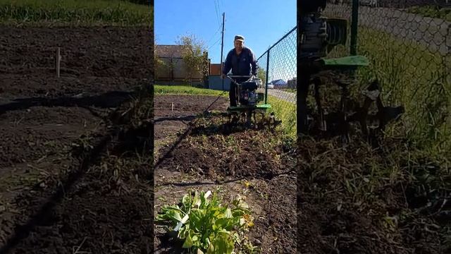 #огородныедела #огородничество #дача #огород #мотоблок смотреть онлайн