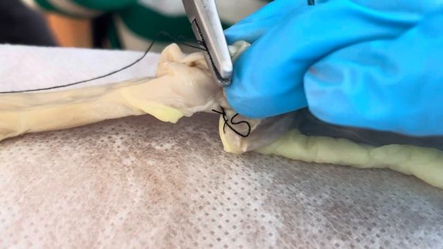 Шьем кишку в первый раз