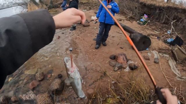 Ловля судака на КАНОНЕРКЕ, Narval Argument II в действии! смотреть онлайн