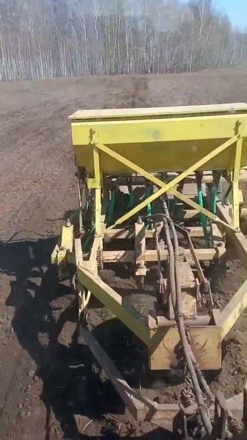 МТЗ-82 с сеялкой Омичка СКП-2,1 посев гороха смотреть онлайн