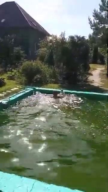 Я прыгнул в бассейн (2 часть) смотреть онлайн