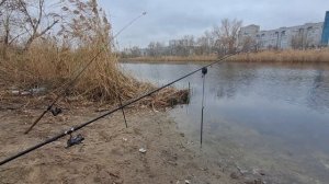 Рыбалка как она есть. ПЛОТВА на отводной поводок. Днеп?