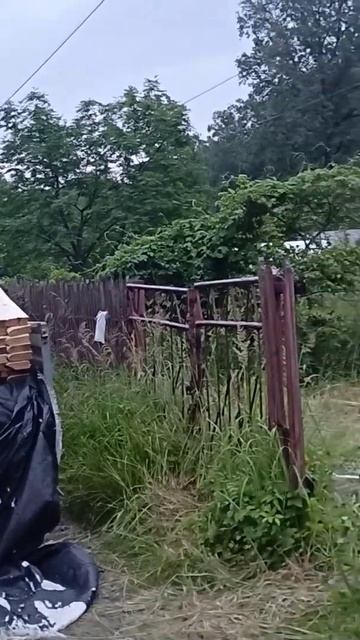 приехали доски для бани бочки смотреть онлайн
