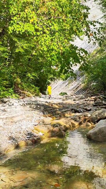 кто водится в реке Куаго #природа #рыба #рыбалка #Красн? смотреть онлайн