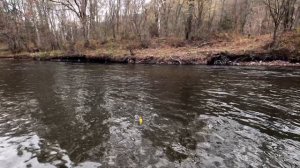 Приморский край. Рыбалка на Хариуса и Ленка в октябре.