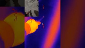 Разметка труб тёплого пола с помощью тепловизора P2 Pro